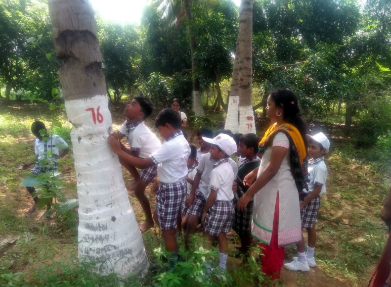 Cựu nh&acirc;n vi&ecirc;n ng&acirc;n h&agrave;ng từ bỏ phố thị để l&agrave;m n&ocirc;ng nghiệp hữu cơ bền vững - Ảnh 2.