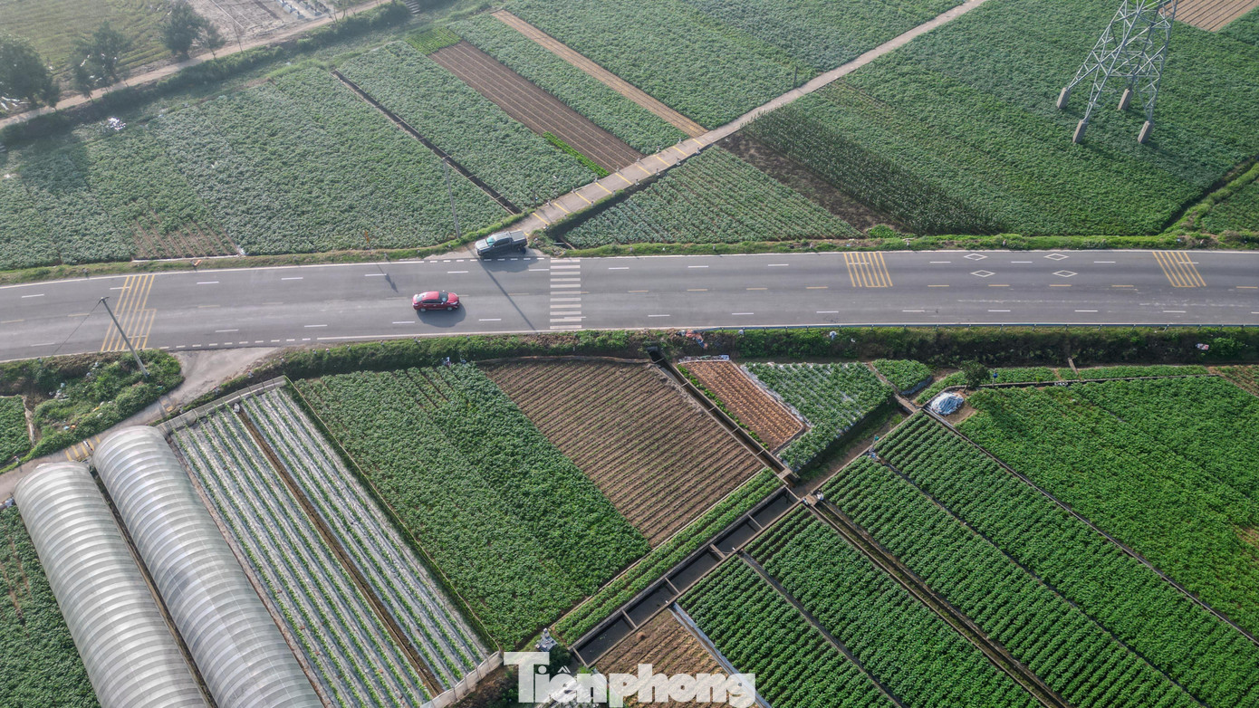 Dự &aacute;n giao th&ocirc;ng Ninh B&igrave;nh 6 . 000 Tỷ kết nối v&ugrave;ng ven biển v&agrave; ph&aacute;t triển kinh tế - Ảnh 7.
