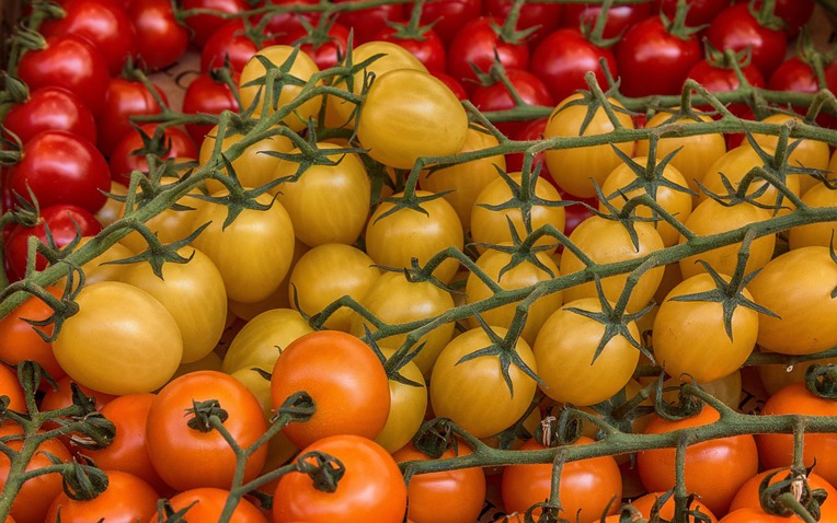 Yellow 36920261280 1766387804646 1766387805142510668607 0 0 800 1280 Crop 1766387834644410619170 1766445136677 1766445137535799234309