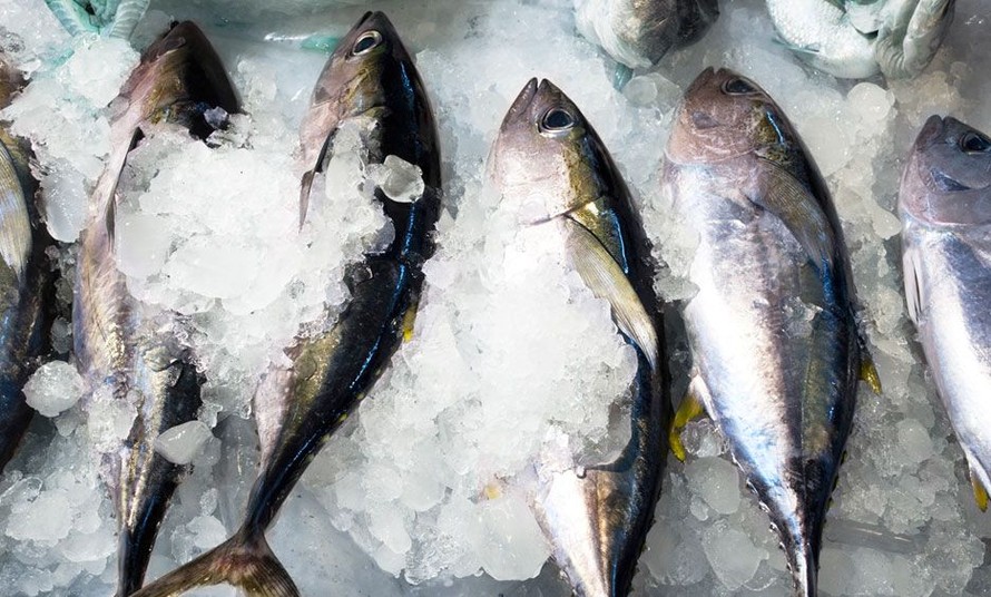 Ướp cá với thứ này rồi cất tủ lạnh, cá để cả tháng vẫn tươi ngon, đảm bảo an toàn: Nói không với hoá chất! - Ảnh 2.