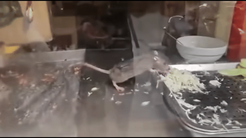 X&ocirc;n xao clip nh&acirc;n vi&ecirc;n lấy đồ ăn trong miệng bỏ v&agrave;o b&aacute;nh m&igrave; của kh&aacute;ch T&acirc;y ở Ninh B&igrave;nh: Ph&iacute;a qu&aacute;n giải th&iacute;c - Ảnh 2.