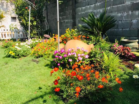 Ho&agrave;ng Minh LS & Ph&uacute; Cường &ndash; Đồng h&agrave;nh c&ugrave;ng ph&aacute;t triển đ&ocirc; thị xanh - Ảnh 1.