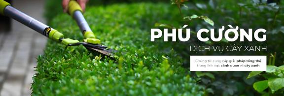 Ho&agrave;ng Minh LS & Ph&uacute; Cường &ndash; Đồng h&agrave;nh c&ugrave;ng ph&aacute;t triển đ&ocirc; thị xanh - Ảnh 3.