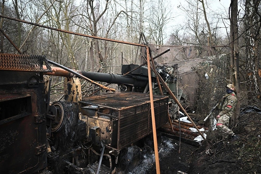 Ph&aacute;o tự h&agrave;nh Bogdana v&agrave; nguy cơ tuyệt chủng: Thực hư ra sao? - Ảnh 1.