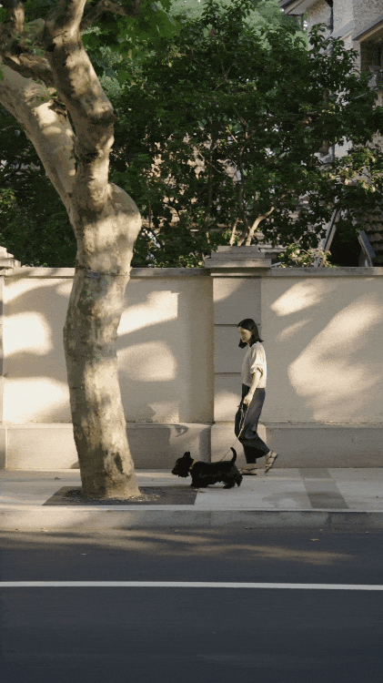 Căn hộ 200m&sup2; v&agrave; người phụ nữ tuổi 40 sống một m&igrave;nh: Minh chứng rằng tự do đến từ t&agrave;i ch&iacute;nh vững, kh&ocirc;ng phải h&ocirc;n nh&acirc;n- Ảnh 12.