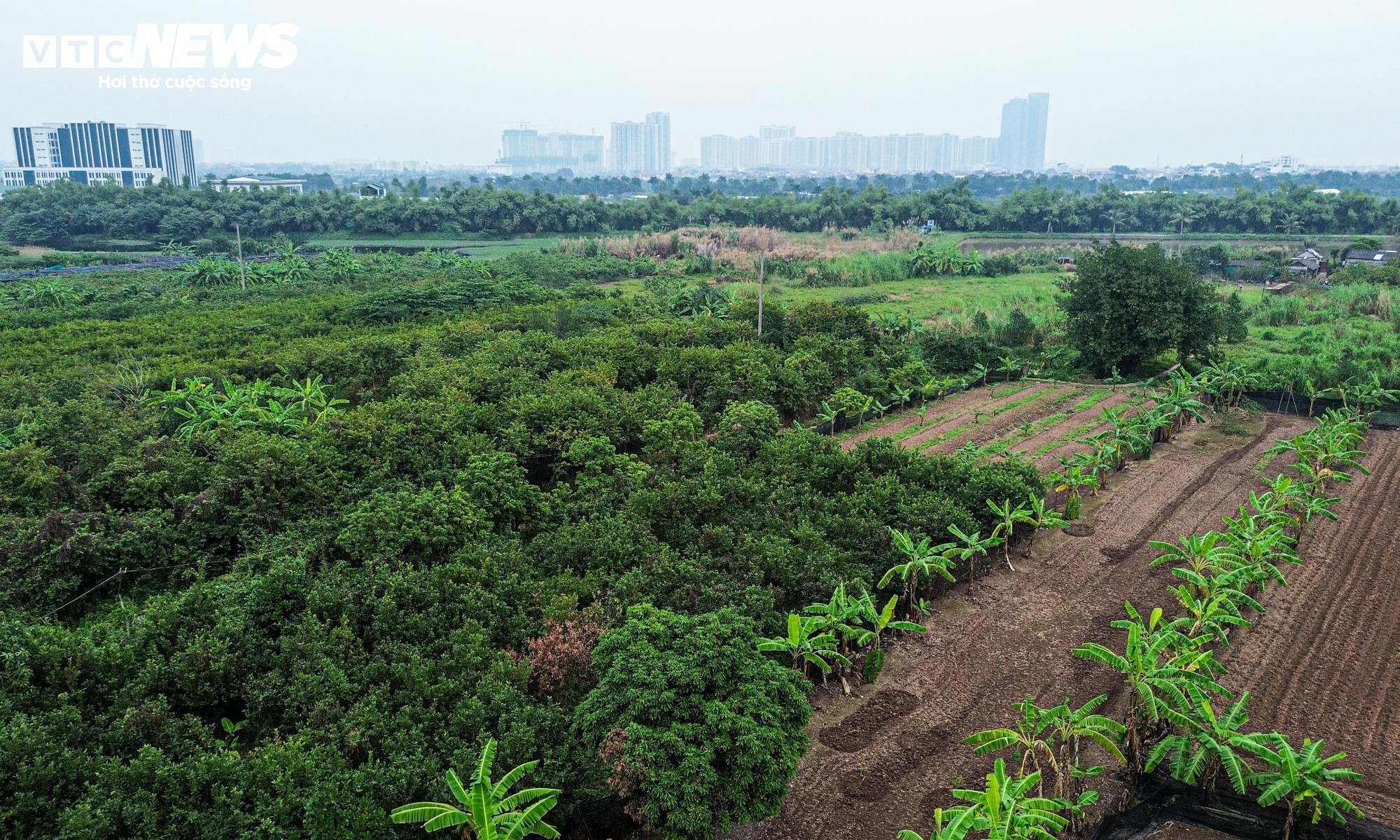 Dự &aacute;n hầm s&ocirc;ng Hồng hơn 24 . 600 Tỷ đồng hứa hẹn thay đổi giao th&ocirc;ng H&agrave; Nội - Ảnh 8.