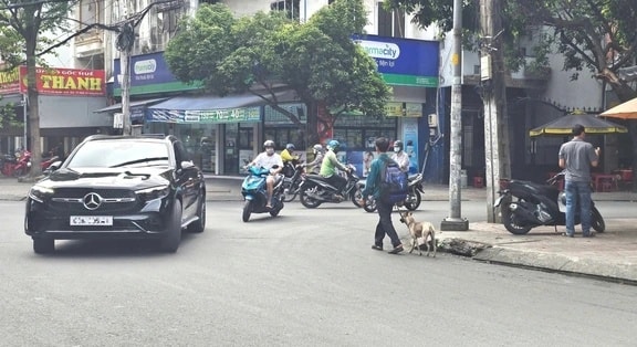 Ph&iacute;a sau bức ảnh người đ&agrave;n &ocirc;ng lang thang c&ugrave;ng ch&uacute; ch&oacute; ở TP.HCM, xin việc hơn 30 c&ocirc;ng tr&igrave;nh đều bị từ chối- Ảnh 1.