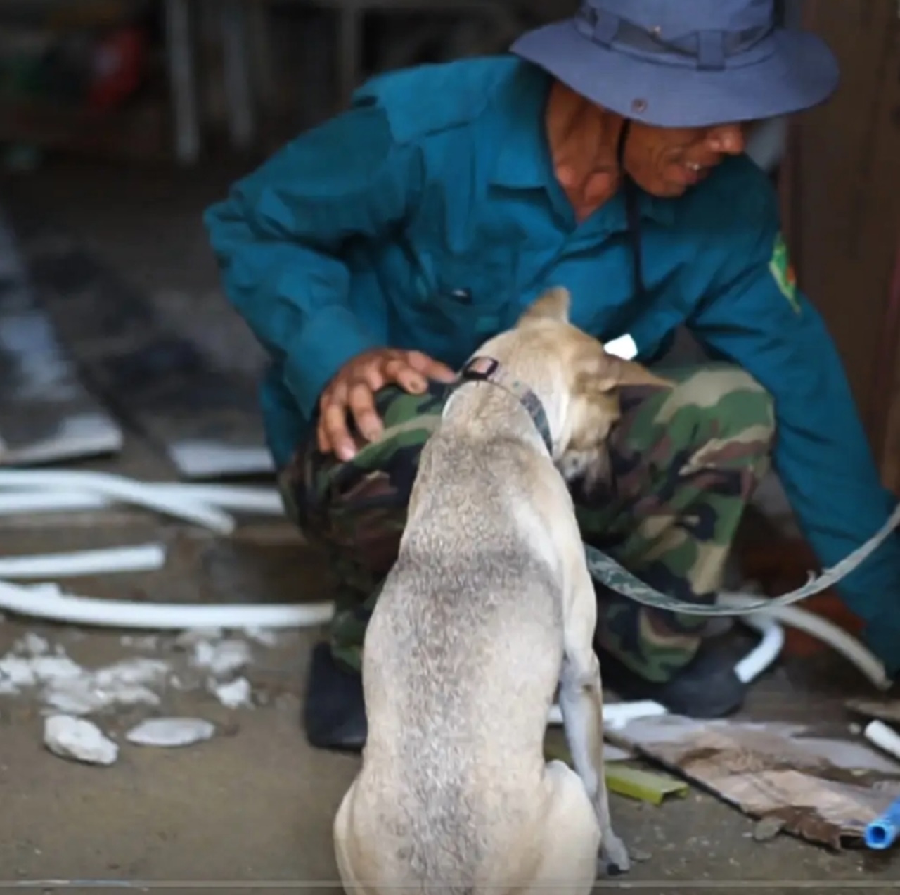 Ph&iacute;a sau bức ảnh người đ&agrave;n &ocirc;ng lang thang c&ugrave;ng ch&uacute; ch&oacute; ở TP.HCM, xin việc hơn 30 c&ocirc;ng tr&igrave;nh đều bị từ chối- Ảnh 6.