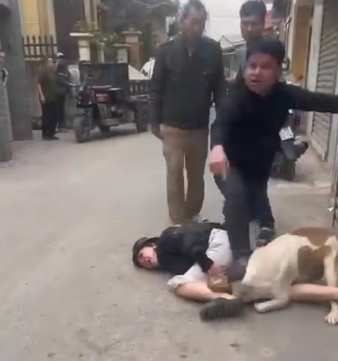 H&agrave; Nội X&aacute;c minh vụ ch&oacute; cắn người phụ nữ đi đường g&acirc;y x&ocirc;n xao dư luận - Ảnh 1.