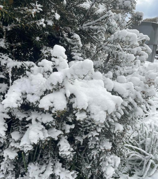 Nơi có tuyết rơi hiếm có sau gần 20 năm! - Ảnh 1.