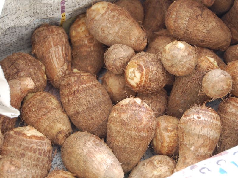 Top 5 loại rau củ an to&agrave;n bậc nhất trong m&ugrave;a lạnh- Ảnh 5.