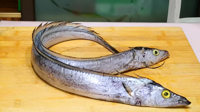 5 loại c&aacute; tự nhi&ecirc;n, kh&ocirc;ng thể nu&ocirc;i nh&acirc;n tạo, thịt ngọt lại bổ như s&acirc;m- Ảnh 4.