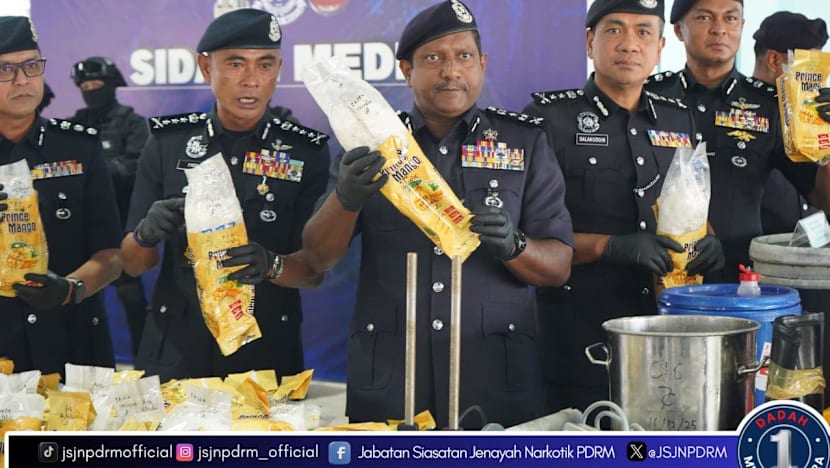 Thu giữ 18.000kg ma t&uacute;y trị gi&aacute; 9.534 tỷ đồng trong biệt thự ba tầng- Ảnh 1.