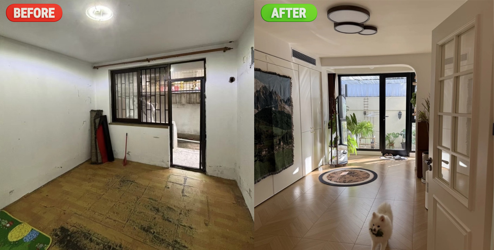 Kh&ocirc;ng ai th&egrave;m ng&oacute; tới nh&agrave; tầng 1 cũ n&aacute;t, người đ&agrave;n &ocirc;ng liều xuống tiền rồi lột x&aacute;c như phim điện ảnh- Ảnh 4.