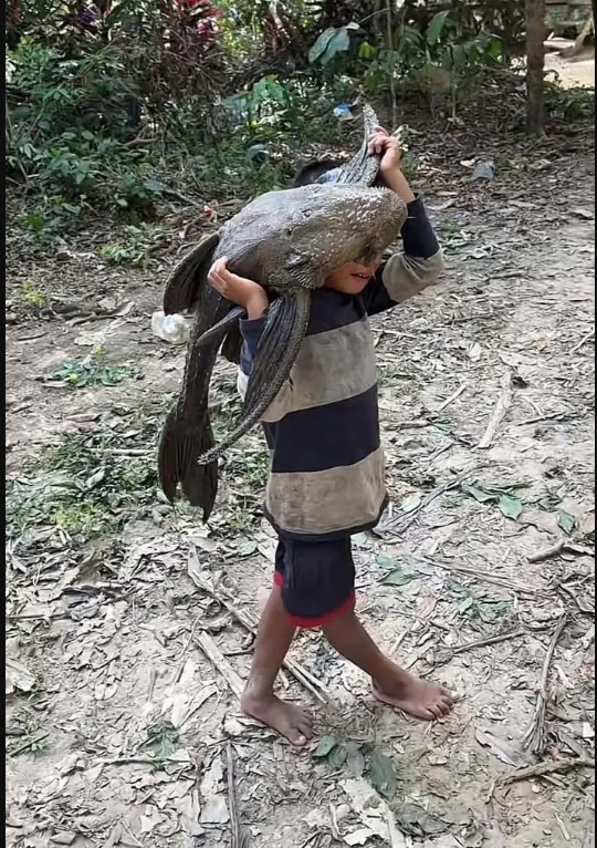 Cậu bé 5 tuổi gồng mình vác con "thủy quái" nặng trĩu đi khắp làng, ai nhìn cũng giật mình - Ảnh 1.