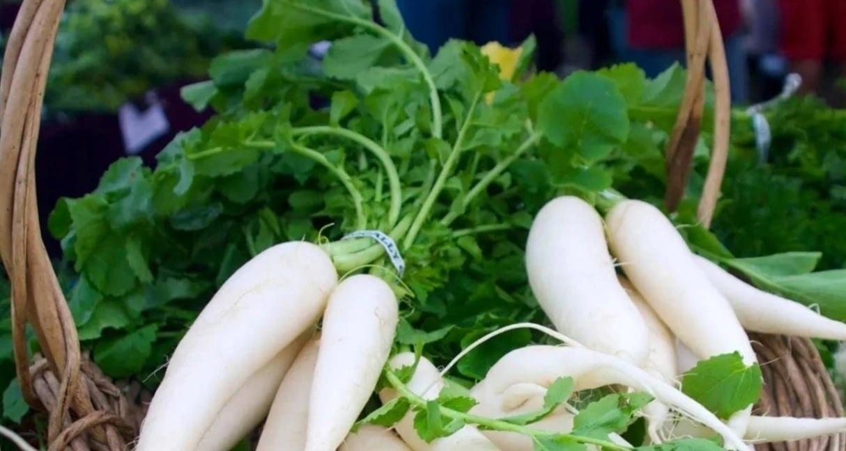 Phần n&agrave;y c&ograve;n qu&yacute; hơn "nh&acirc;n s&acirc;m trắng", vitamin A gấp 2300 lần nhưng người Việt thường xuy&ecirc;n vứt bỏ - Ảnh 2.