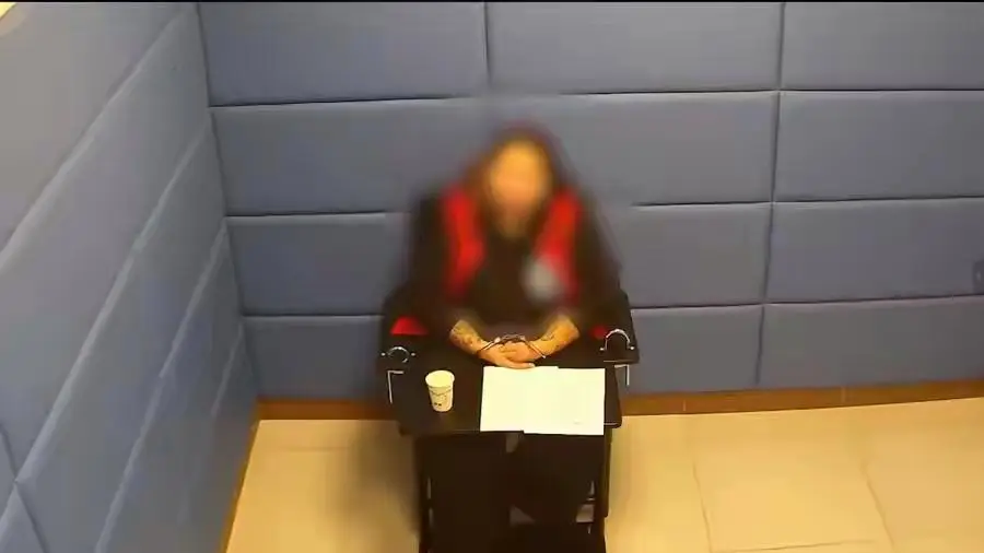 Tin lời "đại gia" tr&ecirc;n mạng, người phụ nữ mất trắng hơn 48,6 tỷ đồng- Ảnh 7.