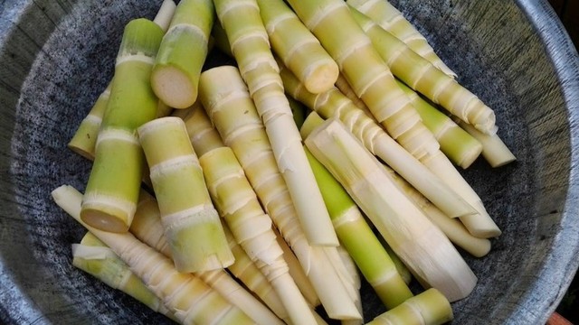 Top 10 loại rau sạch nhất, kh&ocirc;ng thuốc trừ s&acirc;u ngay cả khi kh&ocirc;ng rửa!- Ảnh 1.