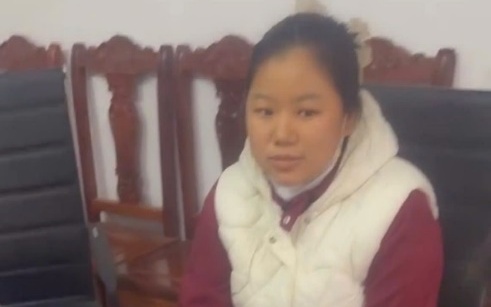 Ph&ecirc; chuẩn quyết định khởi tố bị can, lệnh bắt để tạm giam đối với Đo&agrave;n Thị Thanh - Ảnh 2.