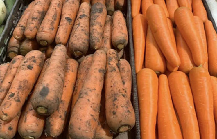T&ocirc;i vừa nhận ra sự kh&aacute;c biệt lớn giữa c&agrave; rốt b&aacute;m b&ugrave;n đất v&agrave; c&agrave; rốt trắng sạch!- Ảnh 1.