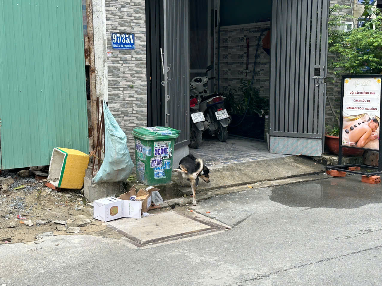 H&igrave;nh ảnh ch&oacute; thả r&ocirc;ng "ngh&ecirc;nh ngang" tại TPHCM - Ảnh 6.