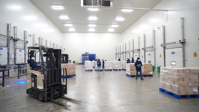 Dự &aacute;n tự động lớn nhất Đ&ocirc;ng Nam &Aacute; của doanh nghiệp 5 năm tuổi- Ảnh 3.