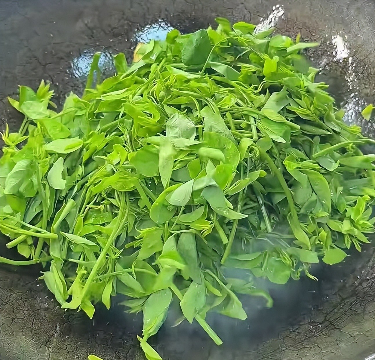 Loại rau xưa nay chỉ tuốt l&aacute; nấu canh, nhưng l&agrave;m theo c&aacute;ch n&agrave;y lại cực ngon, gi&ograve;n v&ocirc; c&ugrave;ng v&agrave; ai ăn cũng bất ngờ- Ảnh 5.