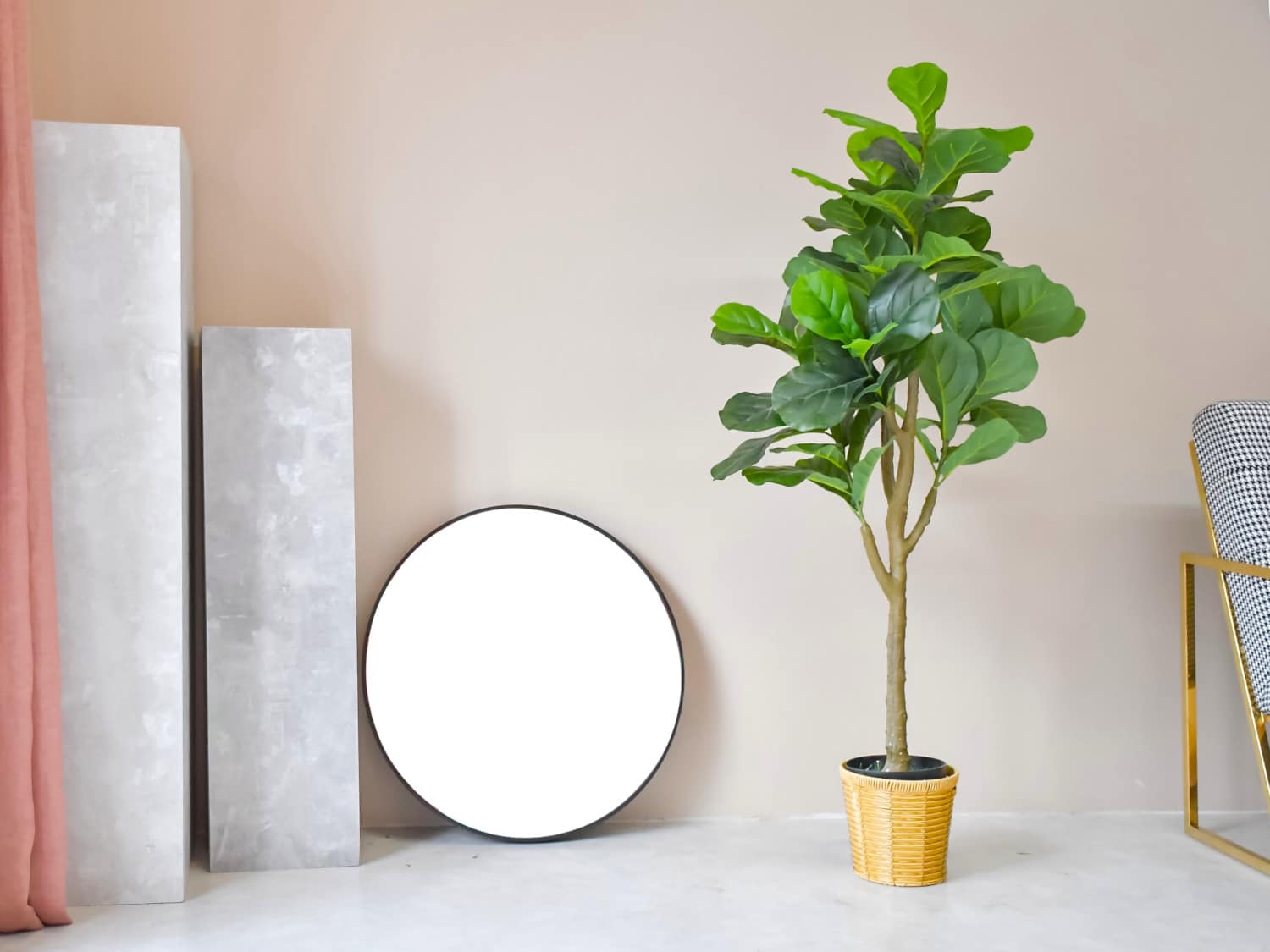 - Ảnh 6. - Ảnh 6.