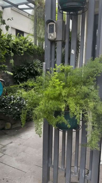 - Ảnh 6. - Ảnh 6.