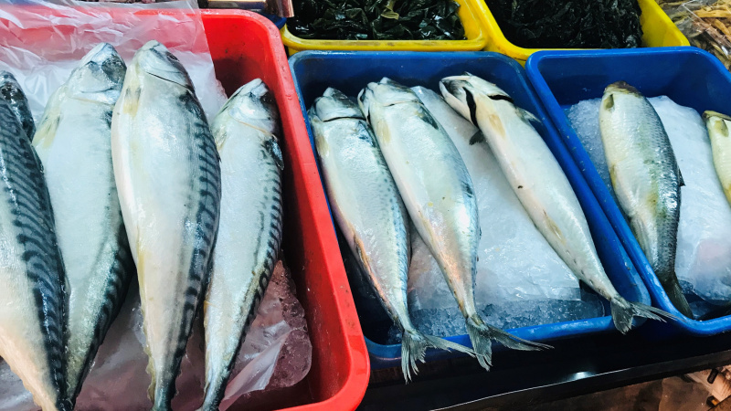 Ăn 3 m&oacute;n mỗi ng&agrave;y, sau 8 th&aacute;ng người đ&agrave;n &ocirc;ng 38 tuổi suy thận giai đoạn 4 nhận kết quả bất ngờ- Ảnh 4.