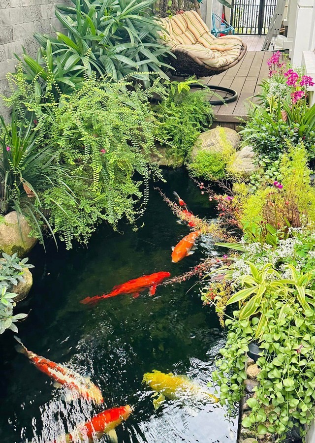 - Ảnh 5. - Ảnh 5.