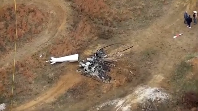 - Ảnh 2. - Ảnh 2.