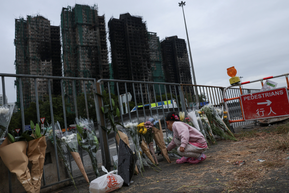 - Ảnh 3. - Ảnh 3.