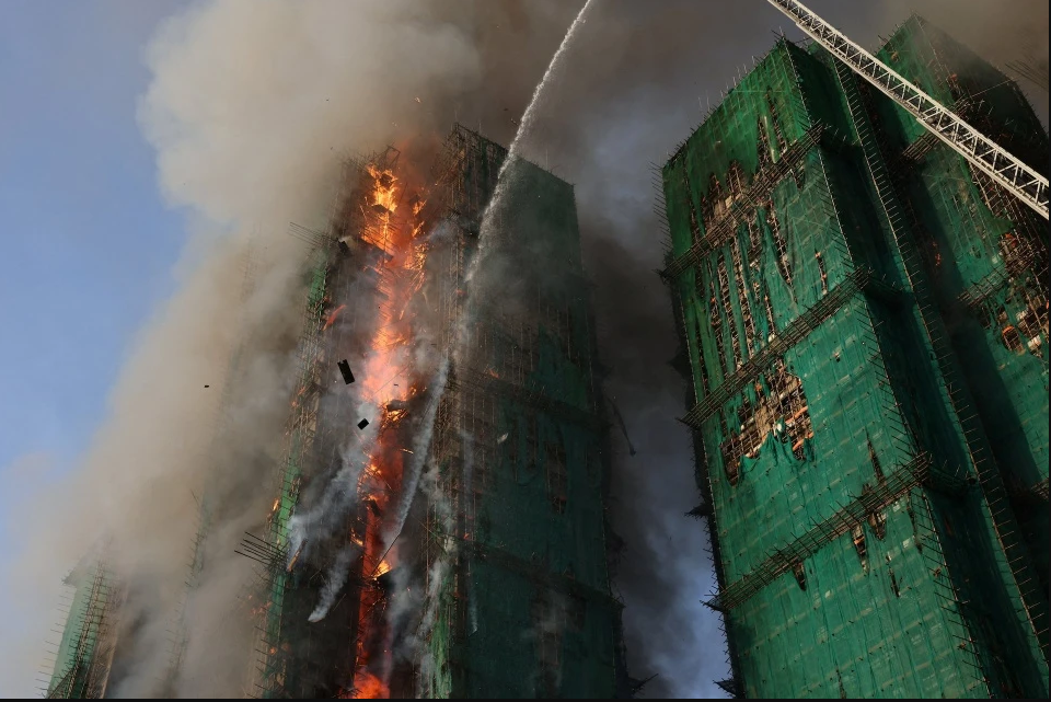 - Ảnh 1. - Ảnh 1.