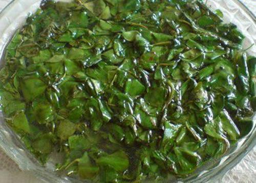 Loại c&acirc;y "hiếm c&oacute; kh&oacute; t&igrave;m", giữ b&ecirc;n m&igrave;nh gặp nhiều may mắn, ăn v&agrave;o bụng bổ như nh&acirc;n s&acirc;m- Ảnh 2.