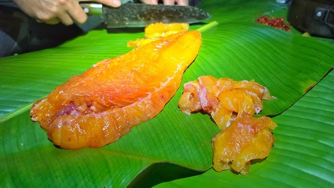 Gặp "thủy quái nước ngọt" dài 1,5m, nặng gần 30kg: Cá thể hiếm tới mức nhiều năm mới trồi lên một lần - Ảnh 4.