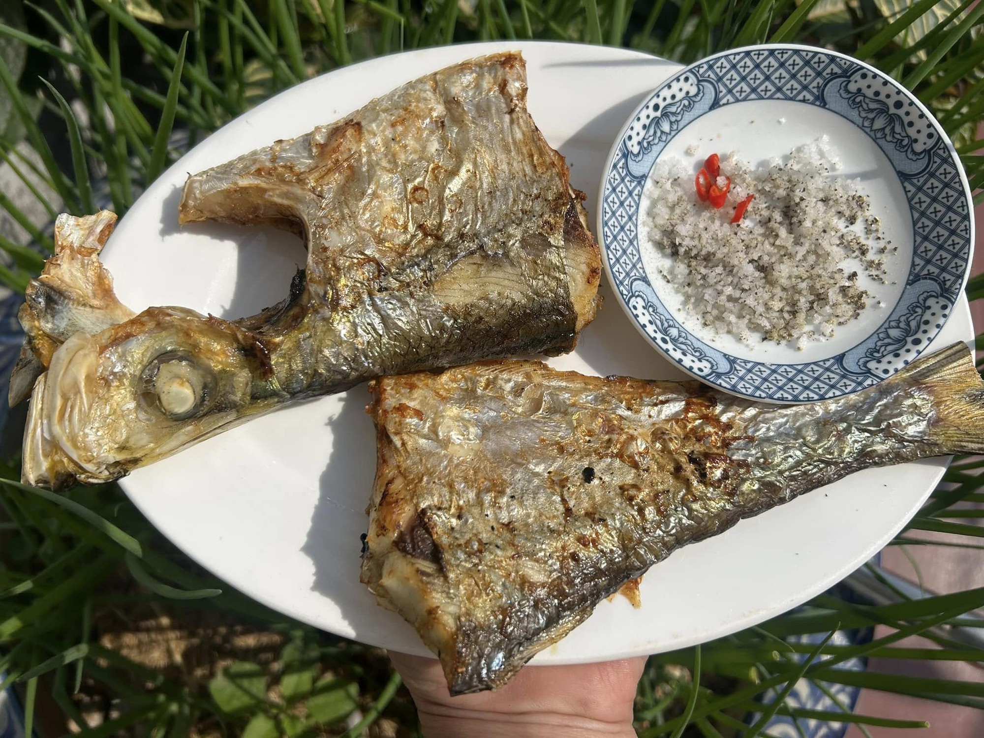 Loại cá được mệnh danh là "tứ quý ngư”, đứng đầu danh sách cá quý mà dân sành ăn săn lùng - Ảnh 3. Loại cá được mệnh danh là "tứ quý ngư”, đứng đầu danh sách cá quý mà dân sành ăn săn lùng - Ảnh 3.