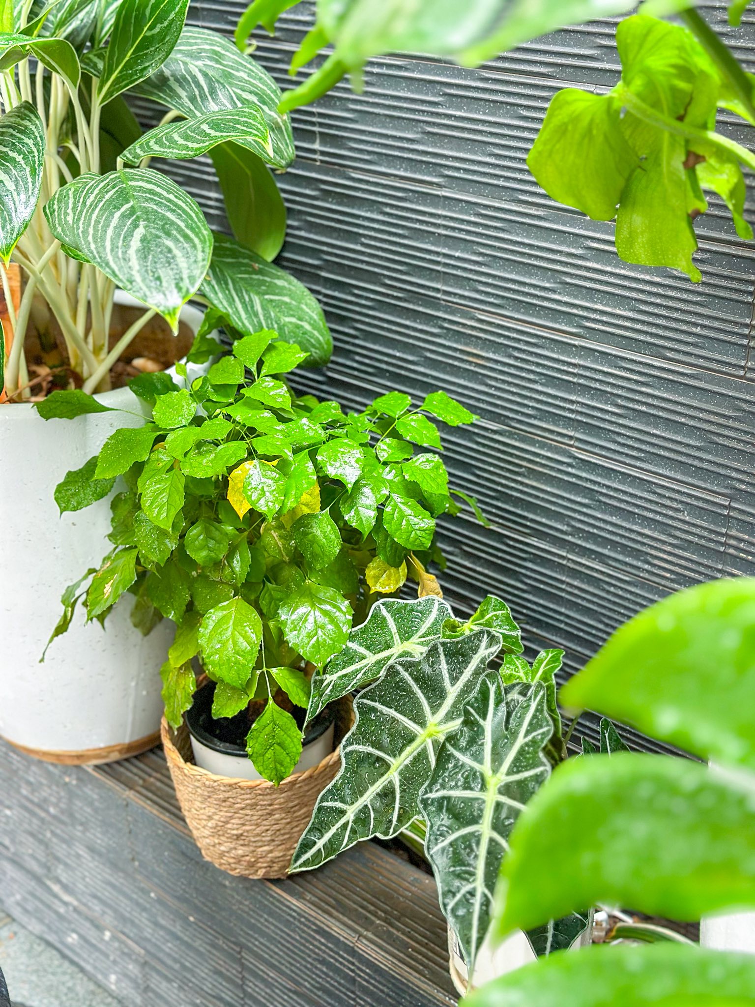 Mẹo dọn nh&agrave; "cuốn chiếu" chỉ 45 ph&uacute;t cho 6 tầng nh&agrave; của vợ đảm H&agrave; Nội: Nh&agrave; thơm lừng, sạch từng ng&oacute;c ng&aacute;ch - Ảnh 17.