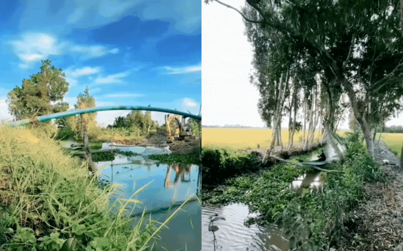 Trải nghiệm vỏ l&atilde;i miền T&acirc;y: Đặc sản cảm gi&aacute;c mạnh kh&ocirc;ng d&agrave;nh cho người yếu tim - Ảnh 1.