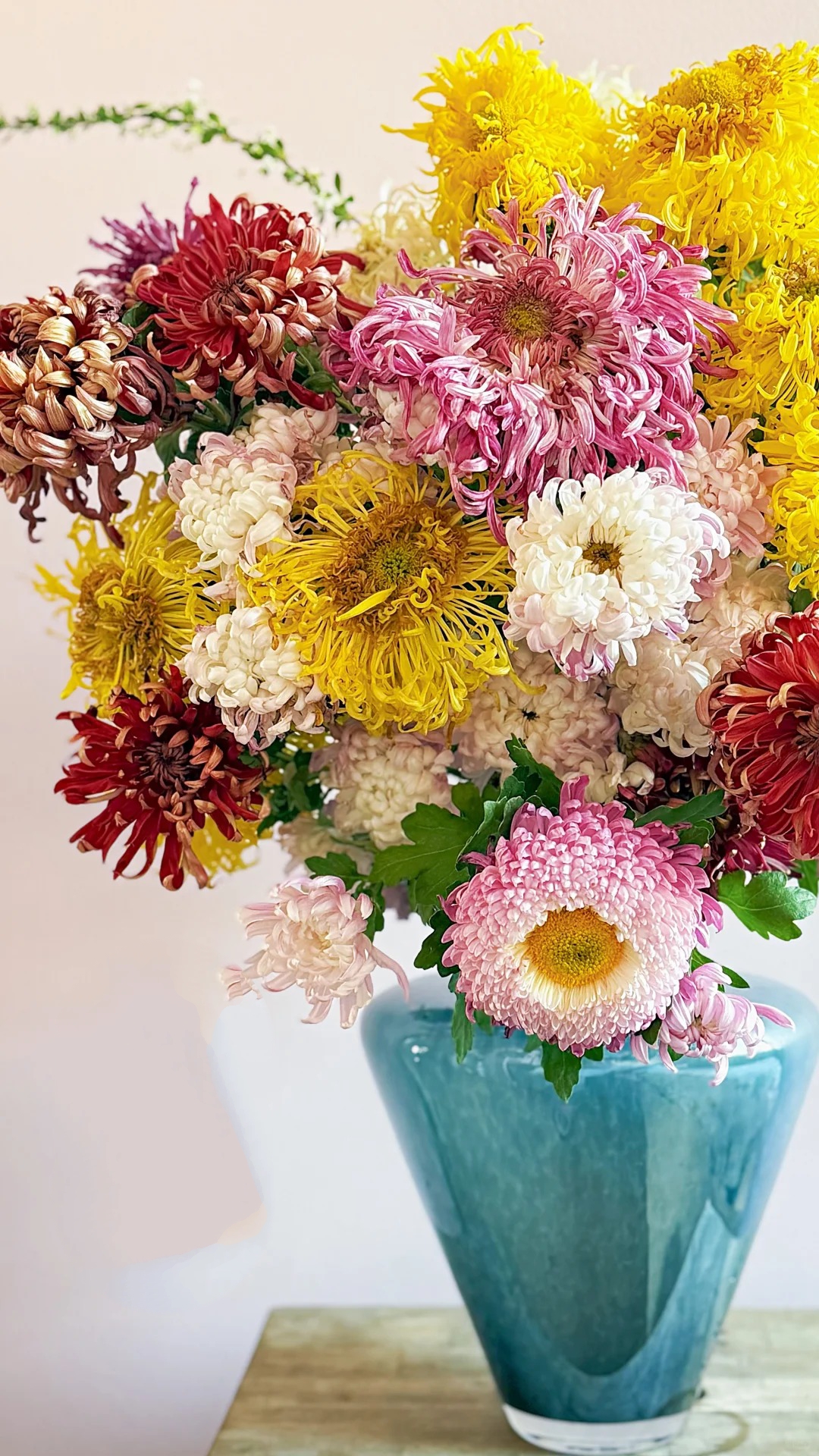 Không chỉ đẹp, đây là lý do người xưa dặn nhất định phải bày hoa cúc ngày Tết để gọi "dương khí" vào nhà - Ảnh 4. Không chỉ đẹp, đây là lý do người xưa dặn nhất định phải bày hoa cúc ngày Tết để gọi "dương khí" vào nhà - Ảnh 4.