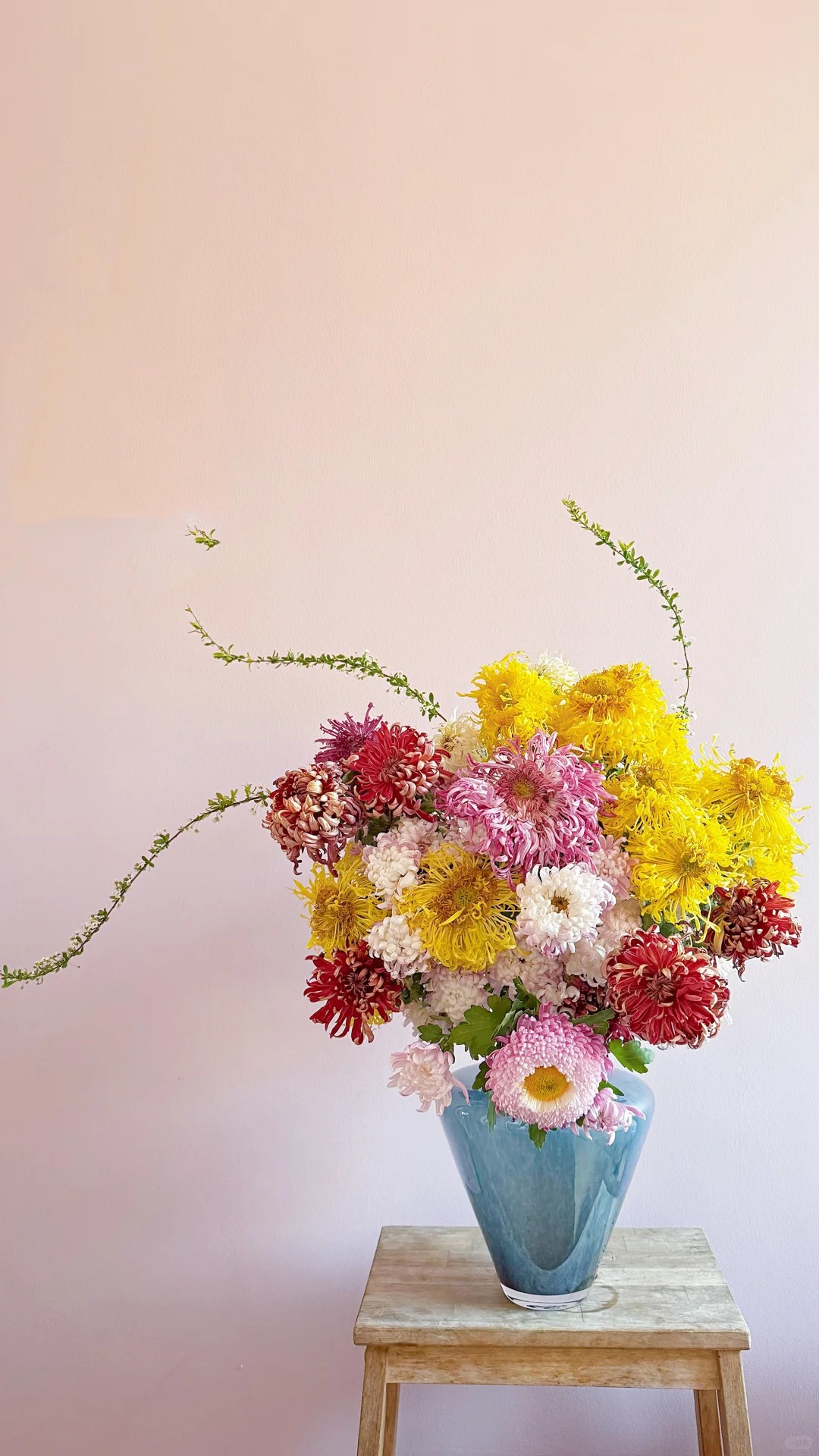 Không chỉ đẹp, đây là lý do người xưa dặn nhất định phải bày hoa cúc ngày Tết để gọi "dương khí" vào nhà - Ảnh 3. Không chỉ đẹp, đây là lý do người xưa dặn nhất định phải bày hoa cúc ngày Tết để gọi "dương khí" vào nhà - Ảnh 3.