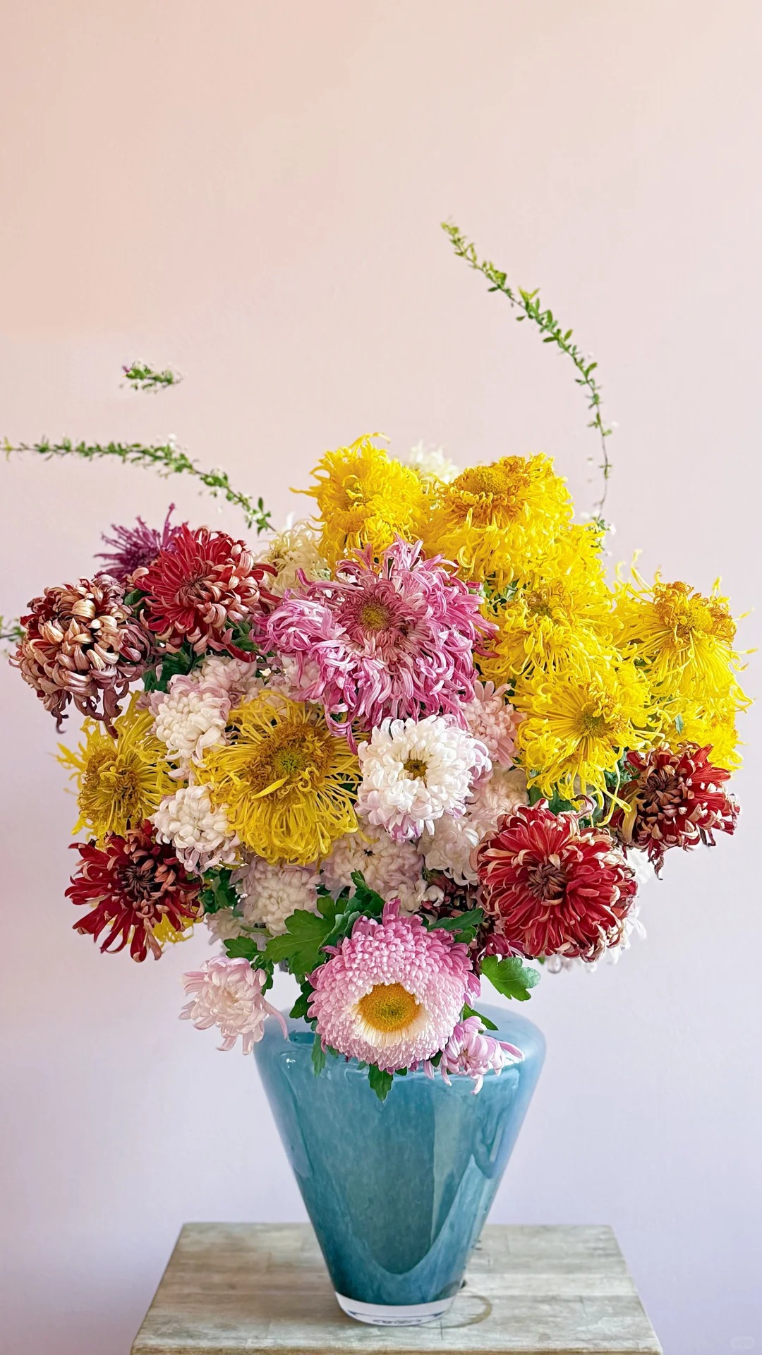 Không chỉ đẹp, đây là lý do người xưa dặn nhất định phải bày hoa cúc ngày Tết để gọi "dương khí" vào nhà - Ảnh 2. Không chỉ đẹp, đây là lý do người xưa dặn nhất định phải bày hoa cúc ngày Tết để gọi "dương khí" vào nhà - Ảnh 2.