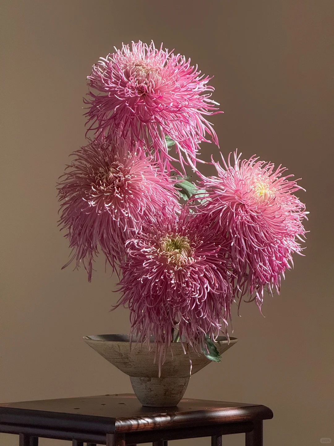 Không chỉ đẹp, đây là lý do người xưa dặn nhất định phải bày hoa cúc ngày Tết để gọi "dương khí" vào nhà - Ảnh 7. Không chỉ đẹp, đây là lý do người xưa dặn nhất định phải bày hoa cúc ngày Tết để gọi "dương khí" vào nhà - Ảnh 7.