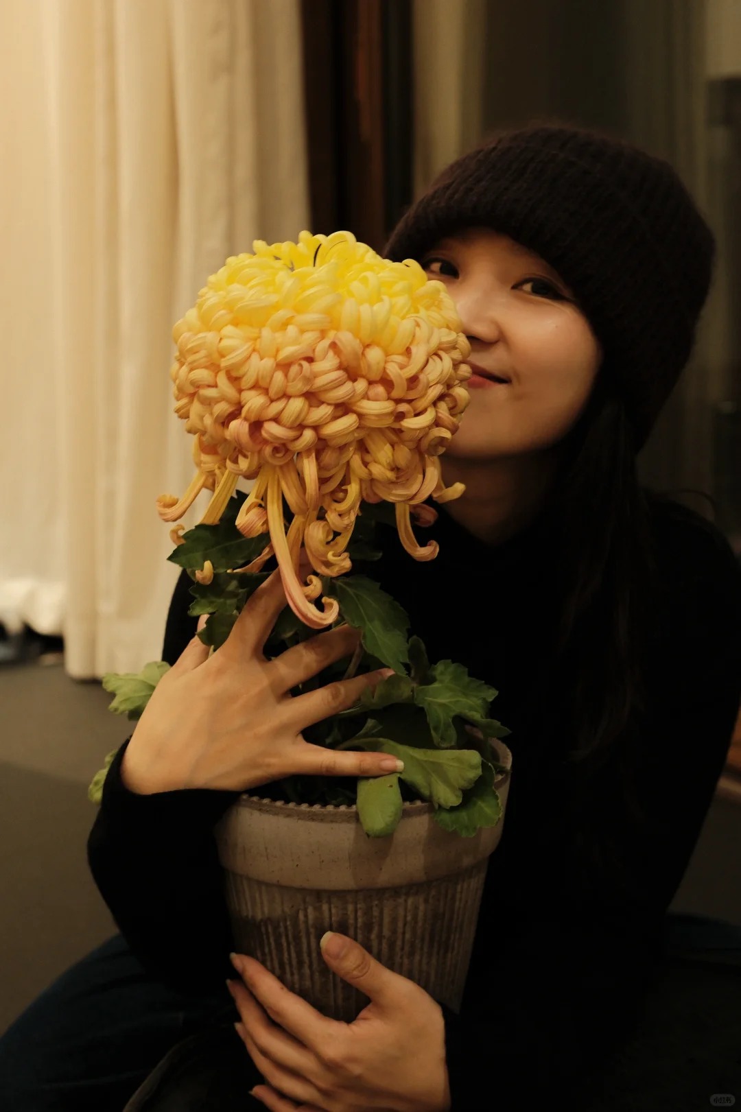 Không chỉ đẹp, đây là lý do người xưa dặn nhất định phải bày hoa cúc ngày Tết để gọi "dương khí" vào nhà - Ảnh 9. Không chỉ đẹp, đây là lý do người xưa dặn nhất định phải bày hoa cúc ngày Tết để gọi "dương khí" vào nhà - Ảnh 9.