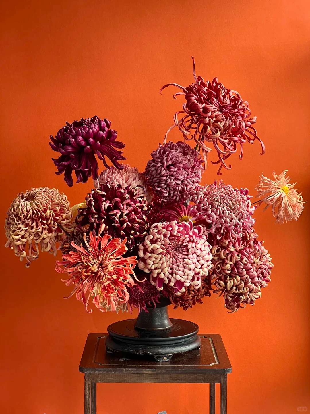 Không chỉ đẹp, đây là lý do người xưa dặn nhất định phải bày hoa cúc ngày Tết để gọi "dương khí" vào nhà - Ảnh 24. Không chỉ đẹp, đây là lý do người xưa dặn nhất định phải bày hoa cúc ngày Tết để gọi "dương khí" vào nhà - Ảnh 24.