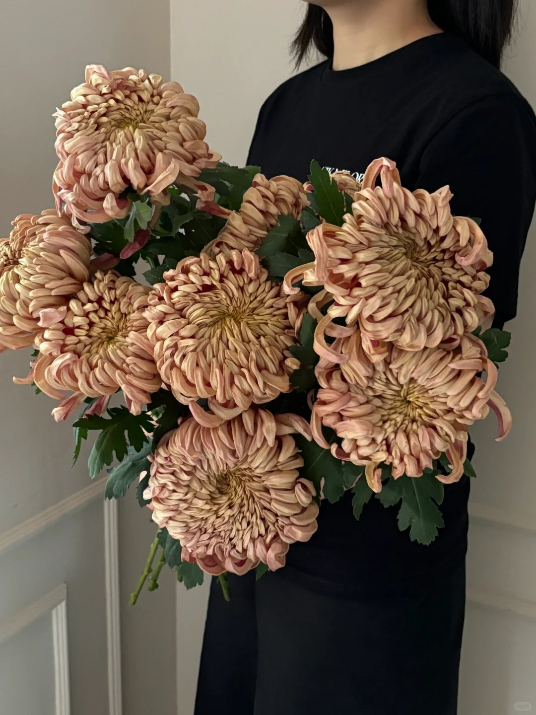 Không chỉ đẹp, đây là lý do người xưa dặn nhất định phải bày hoa cúc ngày Tết để gọi "dương khí" vào nhà - Ảnh 17. Không chỉ đẹp, đây là lý do người xưa dặn nhất định phải bày hoa cúc ngày Tết để gọi "dương khí" vào nhà - Ảnh 17.