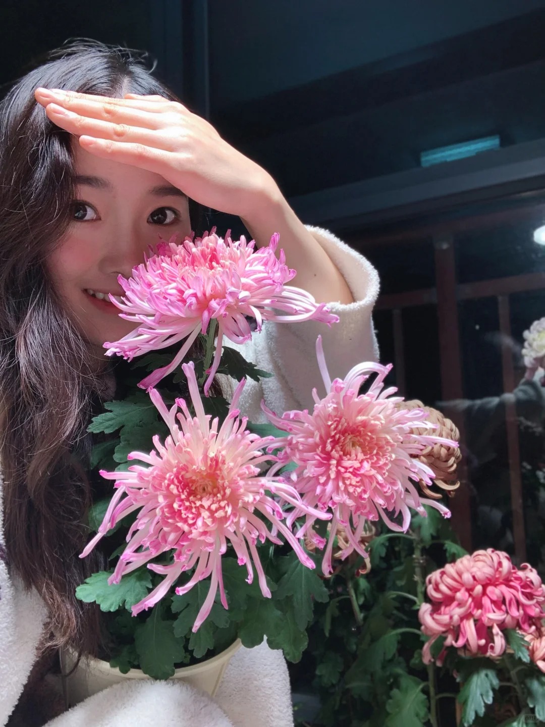 Không chỉ đẹp, đây là lý do người xưa dặn nhất định phải bày hoa cúc ngày Tết để gọi "dương khí" vào nhà - Ảnh 16. Không chỉ đẹp, đây là lý do người xưa dặn nhất định phải bày hoa cúc ngày Tết để gọi "dương khí" vào nhà - Ảnh 16.