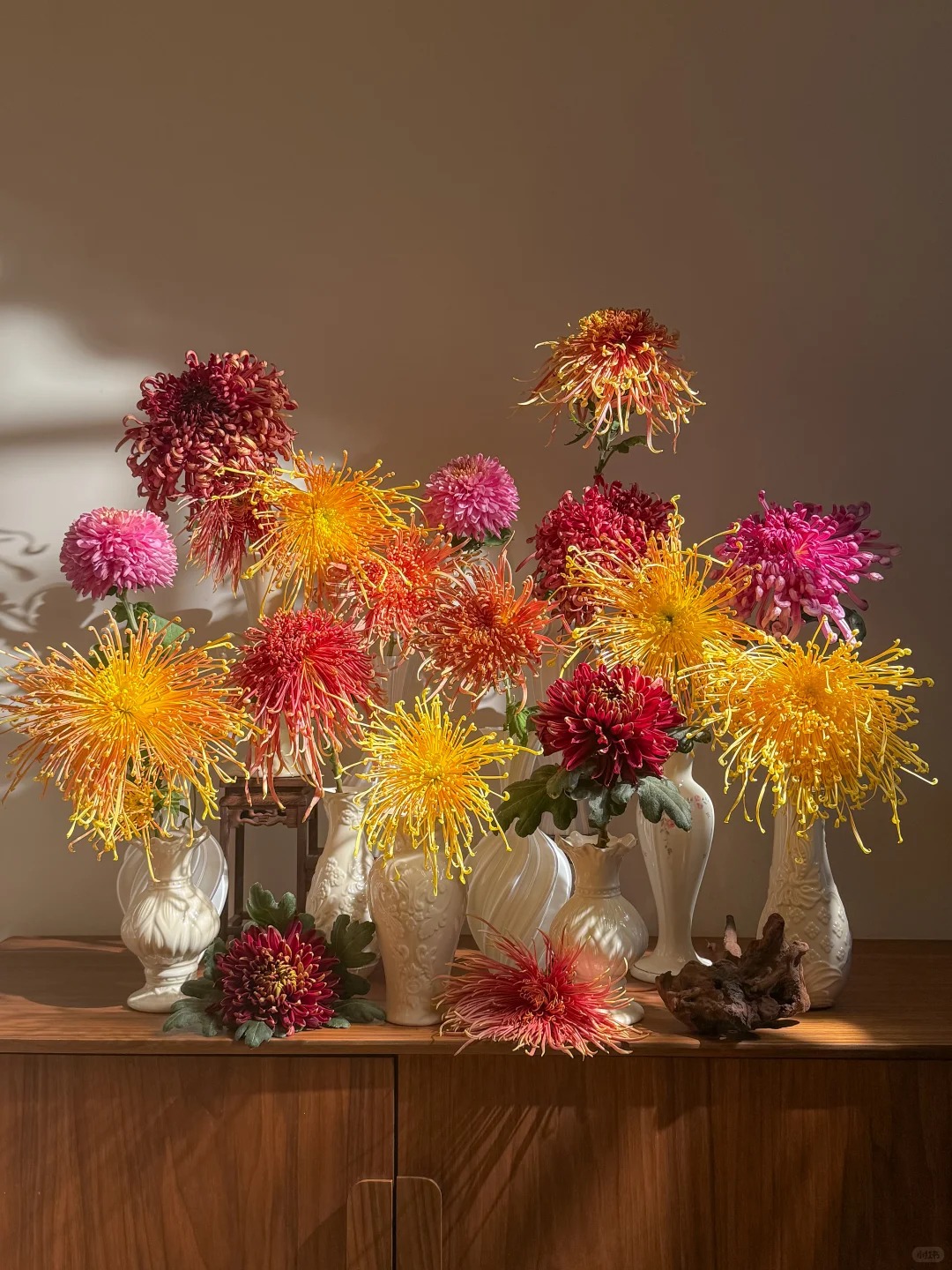 Không chỉ đẹp, đây là lý do người xưa dặn nhất định phải bày hoa cúc ngày Tết để gọi "dương khí" vào nhà - Ảnh 25. Không chỉ đẹp, đây là lý do người xưa dặn nhất định phải bày hoa cúc ngày Tết để gọi "dương khí" vào nhà - Ảnh 25.