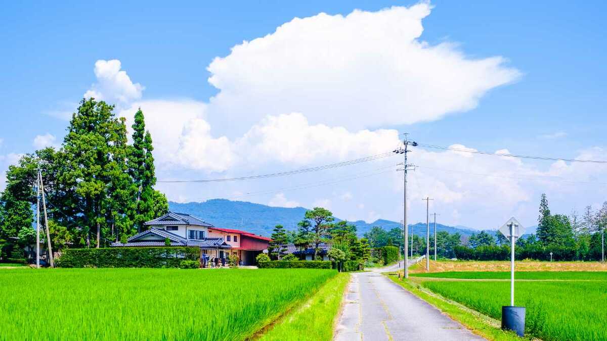 Cặp vợ chồng mua nhà ở quê nhưng quay lại thành phố sau 1 năm - Ảnh 3. Cặp vợ chồng mua nhà ở quê nhưng quay lại thành phố sau 1 năm - Ảnh 3.