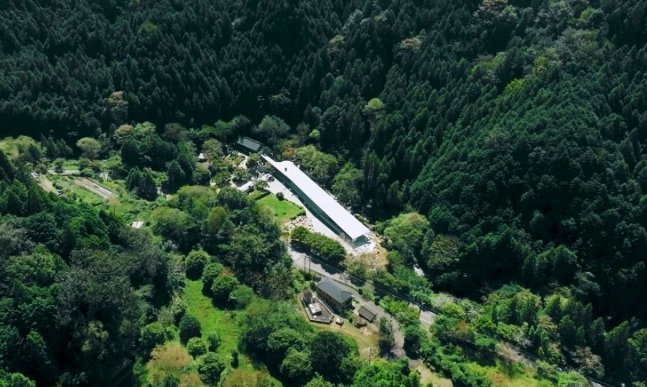 Đ&ocirc;i vợ chồng mua đất nghỉ hưu sớm: Cuộc sống tự cung tự cấp - Ảnh 1.